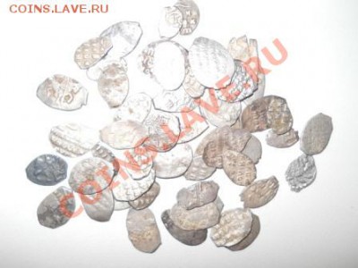 52 чешуйки, окончание 24.01.2013 - DSCN2485.JPG