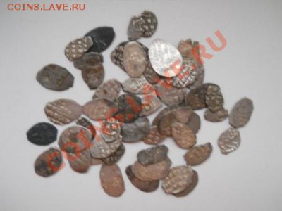 52 чешуйки, окончание 24.01.2013 - DSCN2486.JPG
