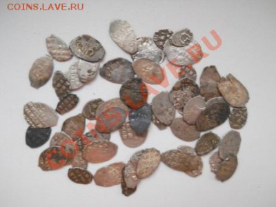 52 чешуйки, окончание 24.01.2013 - DSCN2487.JPG