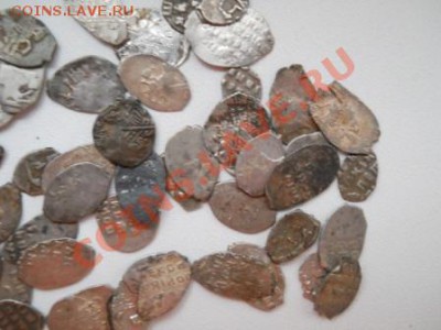 52 чешуйки, окончание 24.01.2013 - DSCN2488.JPG