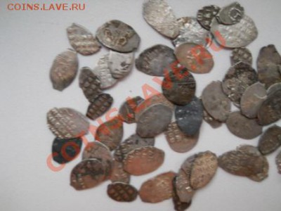 52 чешуйки, окончание 24.01.2013 - DSCN2489.JPG