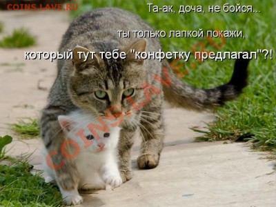 юмор - проп