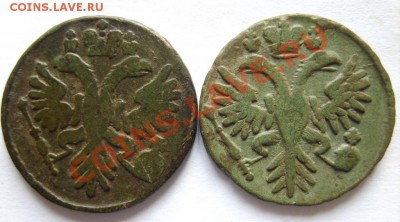 Деньга 1731 (1 черта), 31 (2 черты), 30 г. до 24.01 в 22:00 - S8300351.JPG