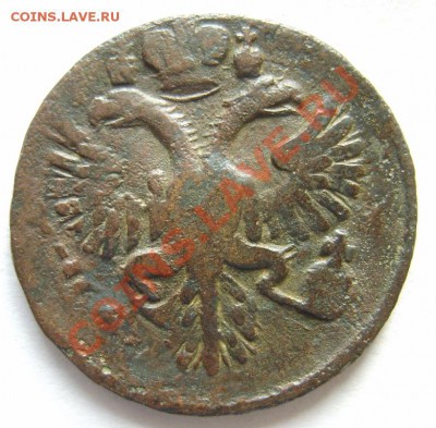 Деньга 1731 (1 черта), 31 (2 черты), 30 г. до 24.01 в 22:00 - S8300353.JPG
