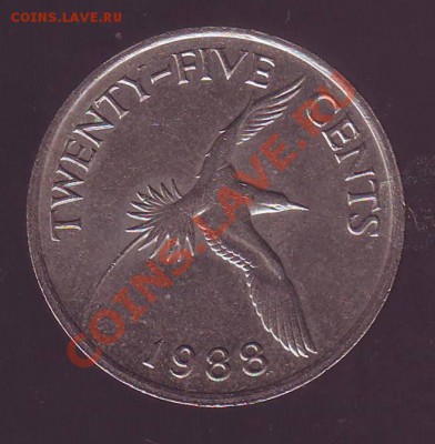 БЕРМУДЫ.25 ЦЕНТОВ.1988.ПТИЦА. до 29.01.13 в 29.00мск - бермуды 25 центов 1988 птица.JPG
