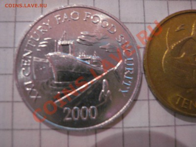 Панама ФАО 2000 г      до 29.1  в 21-00 мск - 21 янв 13 г 090.JPG