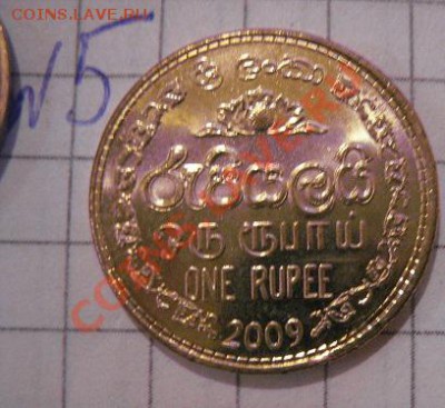Шри Ланка,Гайана,Тонго  состояние  до 29.1  в 21-00 мск - 21 янв 13 г 095.JPG