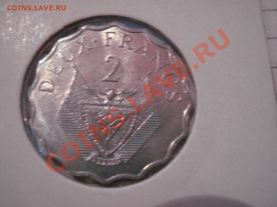 Уругвай (грызун ),Чили,Мали до 29.1  в 21-00 мск - 21 янв 13 г 124.JPG
