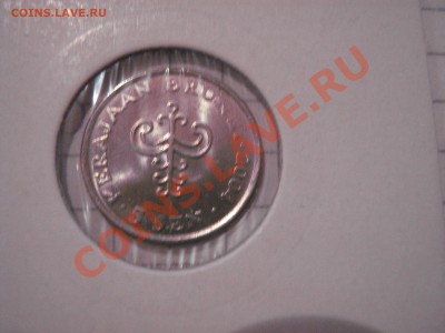Бруней,Ливан,Пакистан   до 29.1  в 21-00 мск - 21 янв 13 г 136.JPG