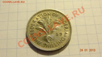 Британская Нигерия 1 шиллинг 1959 до 26.01. в 22:00 - DSC01576.JPG