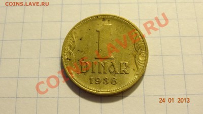 Югославия 1 динар 1938 до 26.01. в 22:00 - DSC01580.JPG