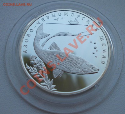 2 рубля 2008 Азово-черноморская шемая до 27.01.13 - DSCN0794.JPG