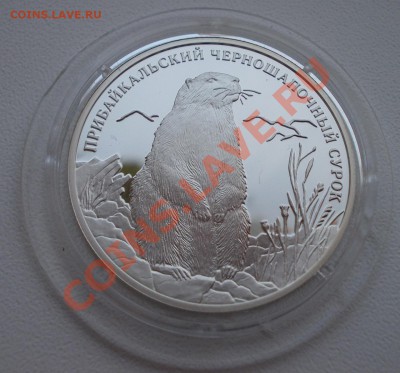 2 рубля 2008 Прибайкальский черношапочный сурок  до 27.01.13 - DSCN0792.JPG