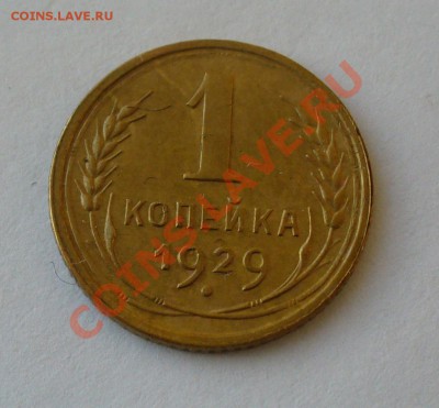 1 копейка 1929г. Короткий, до 24.01.13г. 22-00 мск. - P1060887.JPG