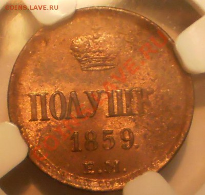 Полушка 1859 г. ЕМ NGC MS62 RB до 29.01 в 21:00 Москвы - P1011427.JPG