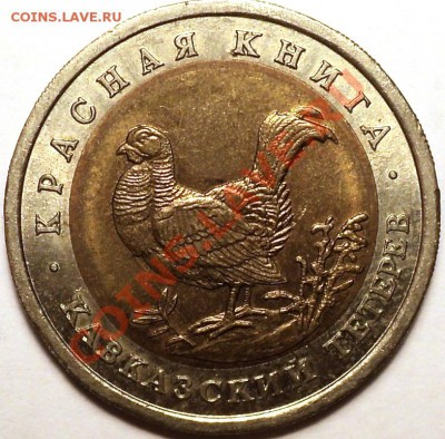 "Кавказский тетерев"!КК 1993 г!С 200 рублей!До 29.01.13! - DSC02553.JPG