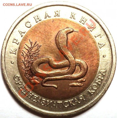 "Среднеазиатская Кобра"!КК 1992 г!С 200 рублей!До 29.01.2013 - DSC02541.JPG