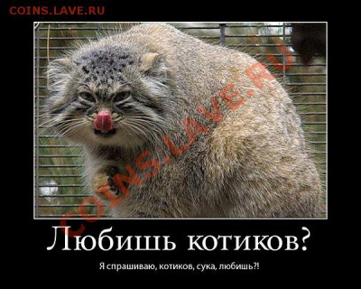 юмор - getImage (7)