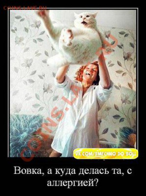 юмор - getImage (8)