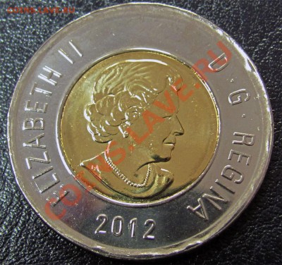 V90 Канада 2$ 2012 New Generation UNC до 31.01 в 22°° - V90 2$ 2012 Bear_2