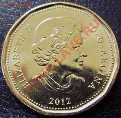 V91 Канада 1$ 2012 100th Grey Cup CFL UNC до 31.01 в 22° - V91 1$ 2012 Grey Cup_1