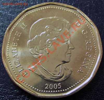 V92 Канада 1$ 2005 Terry Fox UNC до 31.01 в 22°° - V92 Terry Fox 1$ 2005_2