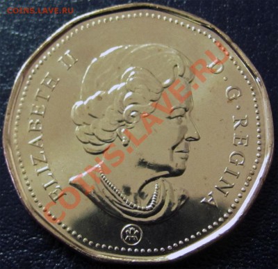 V93 Канада 1$ Lucky Loonie 2008 UNC до 31.01 в 22°° - V93 2008 1$ Lucky Loon_2