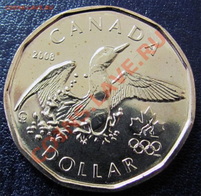 V93 Канада 1$ Lucky Loonie 2008 UNC до 31.01 в 22°° - V93 2008 1$ Lucky Loon_1