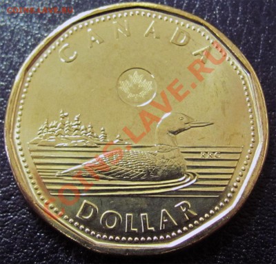 V95 Канада 1$ 2012 New Generation Loon UNC 31.01 в 22°° - V95 1$ New Generation 2012_1