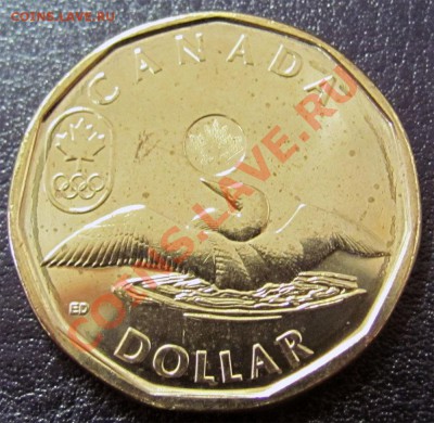 V96 Канада 1$ 2012 Lucky Loon UNC до 31.01 в 22°° - V96 1$ Lucky Loon 2012_1