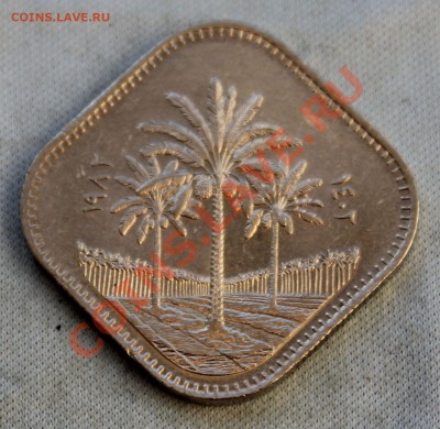 ИРАК 500 FILS 1982г. ПАЛЬМЫ КВАДРАТНАЯ до 31.01.13г. в 22-00 - IMG_4640.JPG