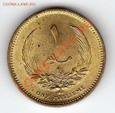ЛИВИЯ МИЛЛИМ 1965 ДО 31.01.13 В 22.00МСК (4203) - img436