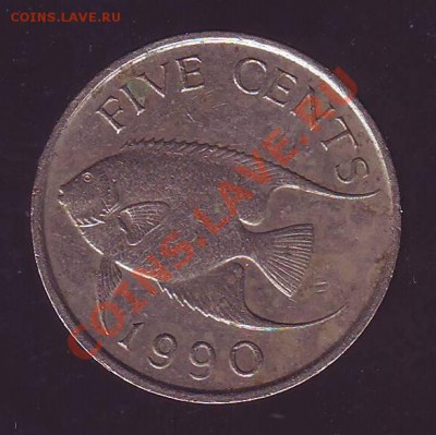 БЕРМУДЫ.5 ЦЕНТОВ.1990.РЫБА. до 31.01.13 в 22.05мск - бермуды 5 центов 19900001.JPG
