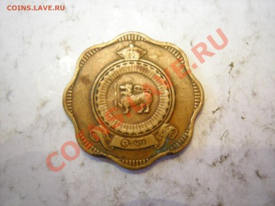 Шри-Ланка 10 центов 1963г до 30.01.2013 - DSCN9417.JPG