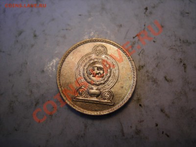 Шри-Ланка 25 центов 1991г до 30.01.2013 - DSCN9419.JPG