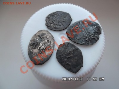 четыре чешуйки - SAM_0794.JPG