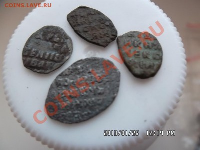 несколько чешуек - SAM_0797.JPG