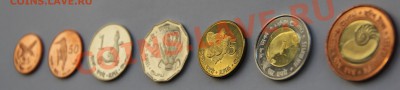 Андаманские и Никобарские острова 2011 до 31.01.13 до 22.00 - IMG_3272.JPG