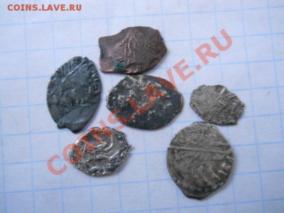 ЧЕШУЯ ОПОЗНАНИЕ И ОЦЕНКА. - DSCN1735.JPG