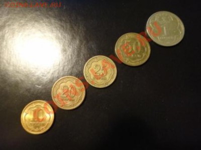 Куплю ходячку Таджикистана - DSC02314.JPG