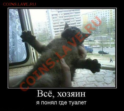 юмор - getImage (6)