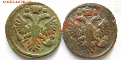 Деньга 1731 (2 черты, 2 шт.),41,51 г. до 29.01.13 в 22:00 - S8300372.JPG
