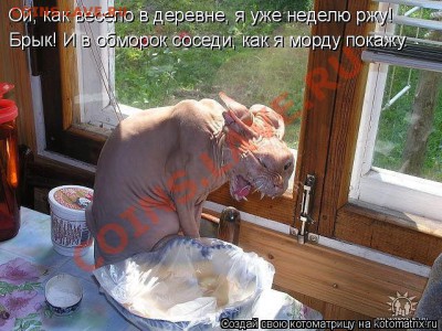 юмор - getImage (7)