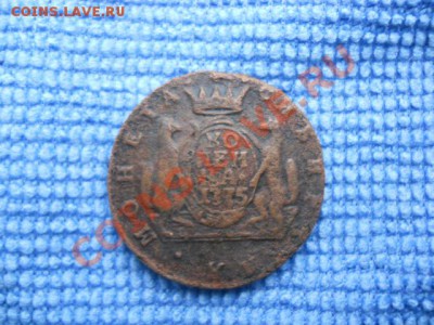 Сибирская мелочь - DSCN0693.JPG