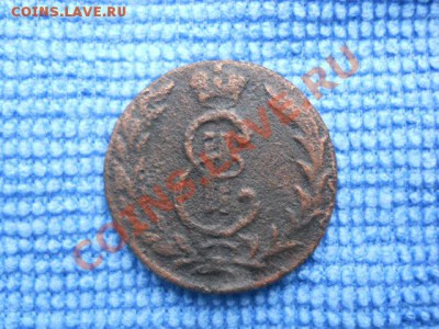 Сибирская мелочь - DSCN0692.JPG
