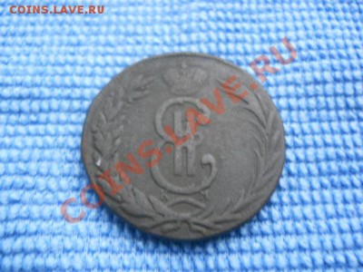 Сибирская мелочь - DSCN0731.JPG