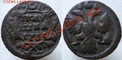 Полушка 1731 г. и 1735 г. - Полушка 1735 г. Патина.JPG