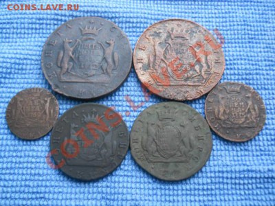 Сибирская мелочь - DSCN0736.JPG