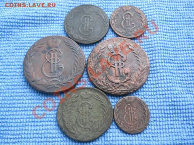 Сибирская мелочь - DSCN0734.JPG
