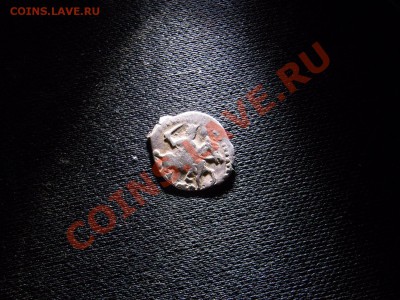 Чешуйки - RIMG1415.JPG